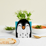 Greens & Greetings: Sonny the Penguin