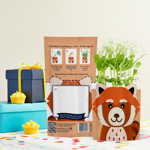 'Ruby' Red Panda' Growable Greetings Card