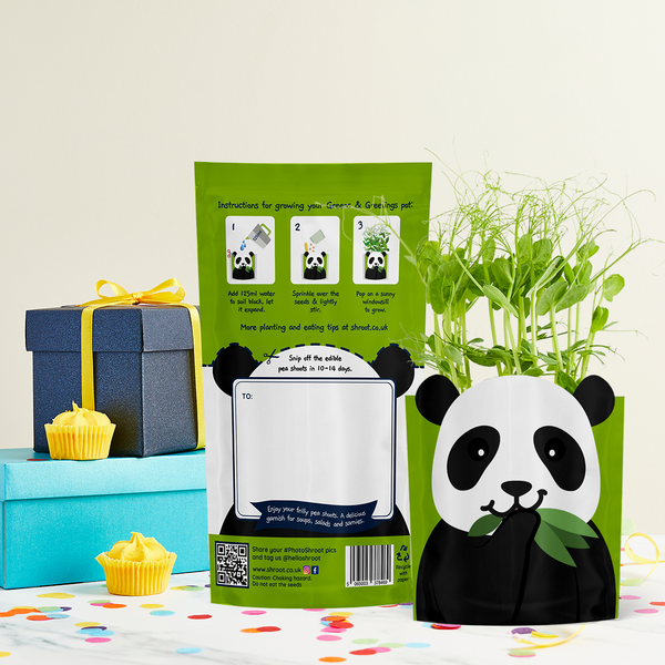 'Paul' Panda' Growable Greeting Card – Shroot