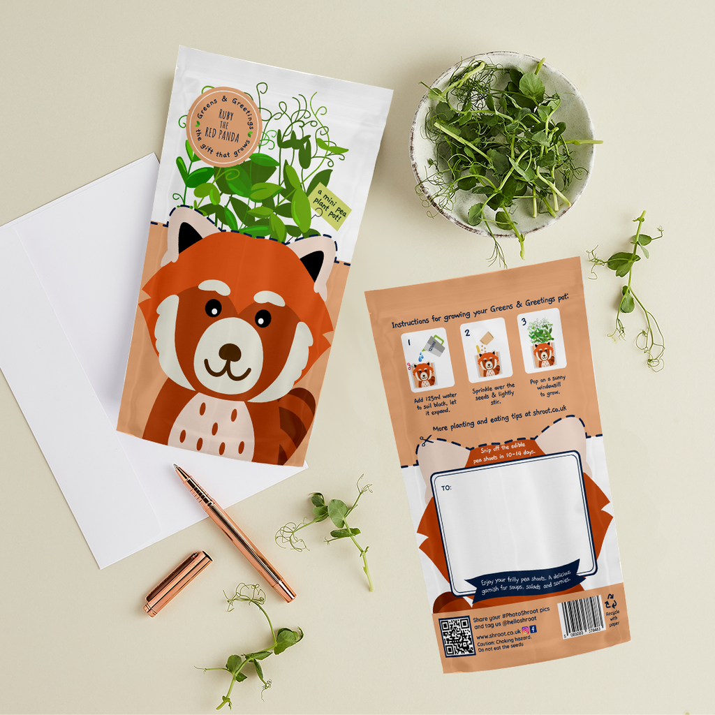 Shroot Greens & Greetings: 'Ruby' Red Panda – Shroot