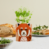 'Ruby' Red Panda' Growable Greetings Card