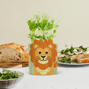 'Leo' Lion' Growable Greetings Card