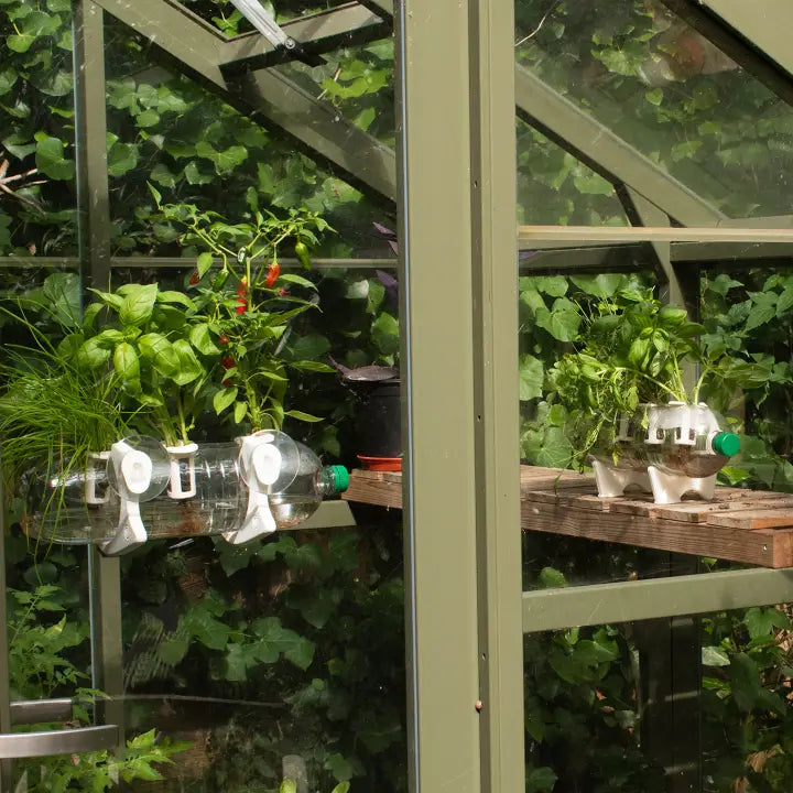 indoor plant supports uk Grow Clip Pack
