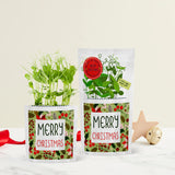 VeryMe Rewards Special: Greens & Greetings ‘Merry Christmas’