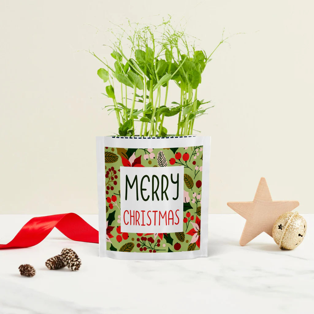 VeryMe Rewards Special: Greens & Greetings ‘Merry Christmas’