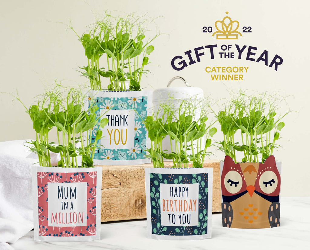 Shroot 'Dad of the Decade' Growable Greetings Card – Shroot