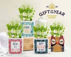 VeryMe Rewards Special: Greens & Greetings ‘Merry Christmas’
