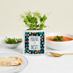 you're the best greens and greetings pea microgreen food.jpg