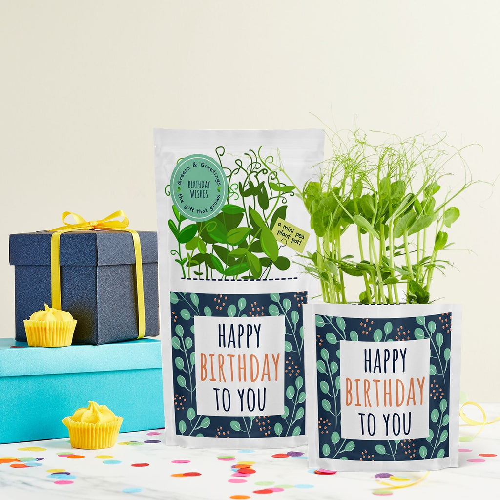 happy birthday plant pot Greens & Greetings: Happy Birthday – Shroot