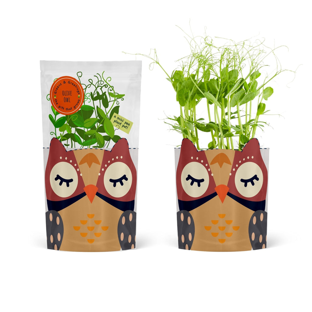 Shroot Greens & Greetings: Olive Owl – Shroot