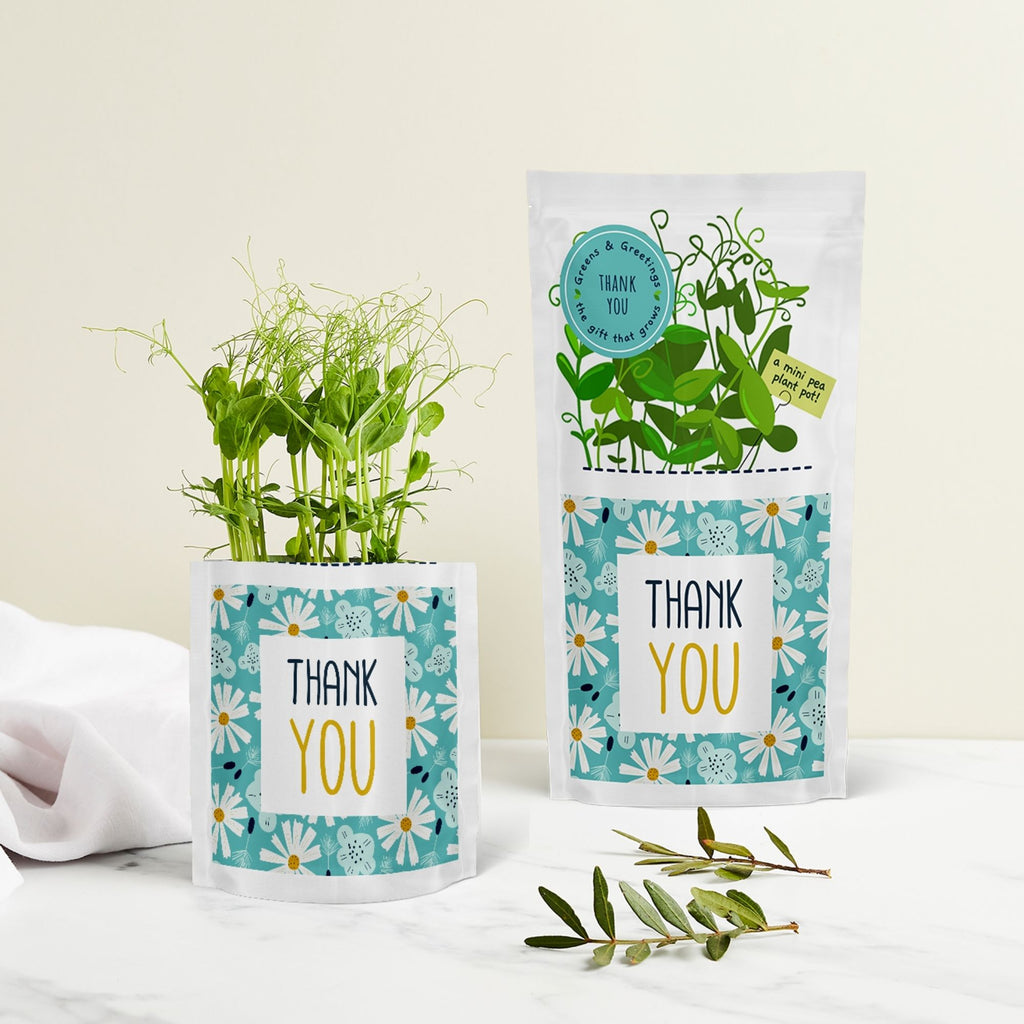 thank you greens and greetings shroot pea shoots and pouch.jpg