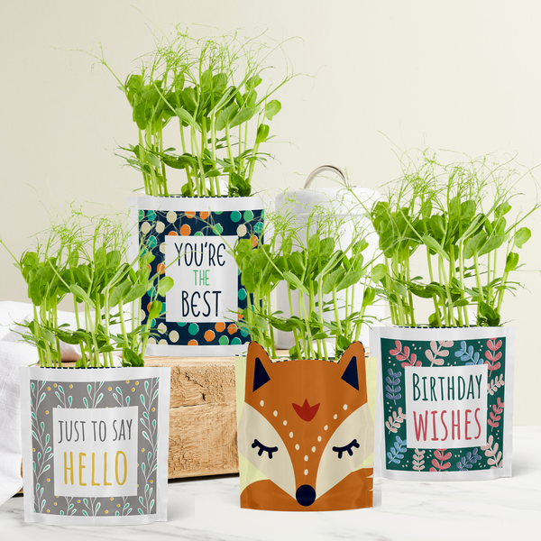 Shroot Greens & Greetings: Small Selection Pack (Any 4 and save 15%) – Shroot