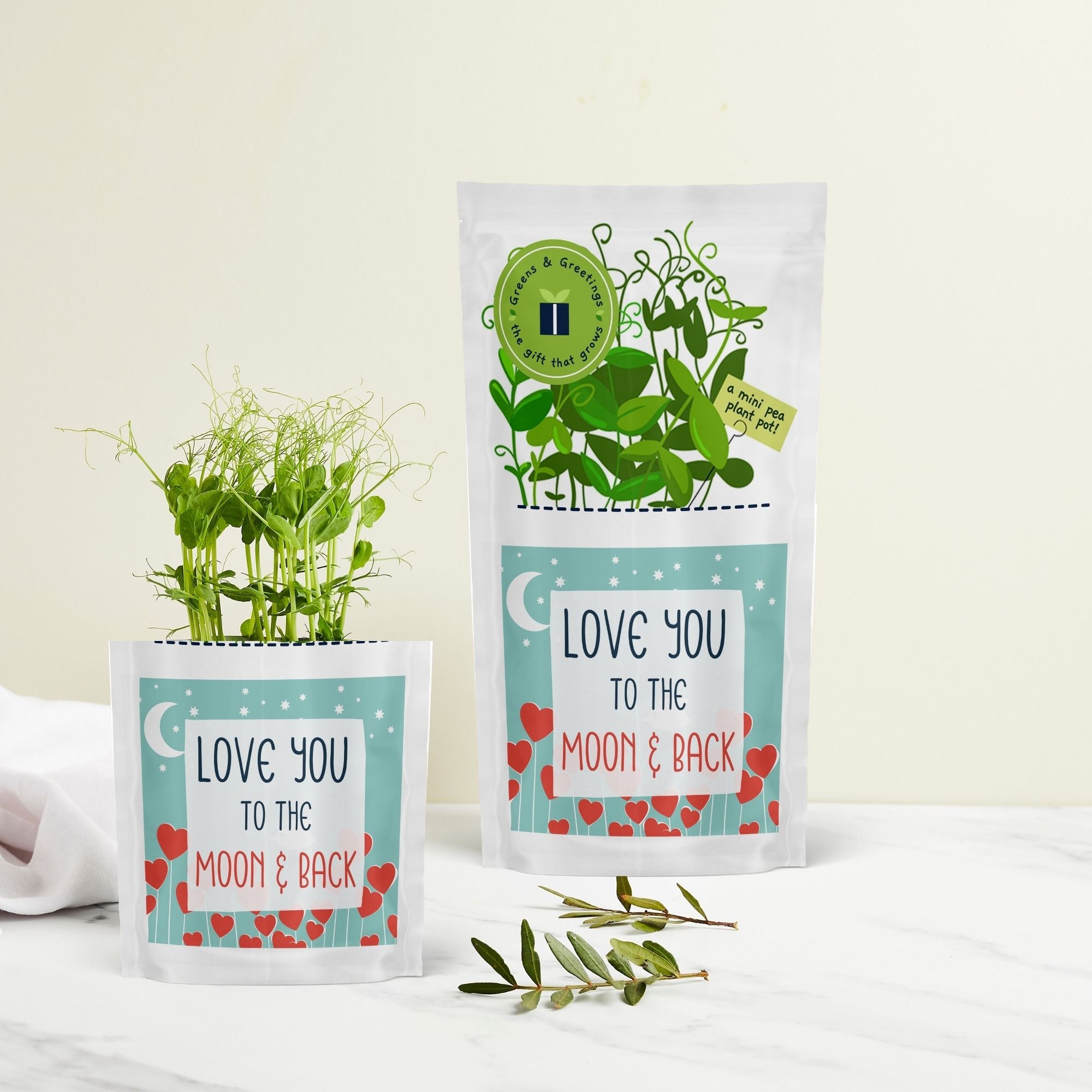 Shroot Our Products – Shroot