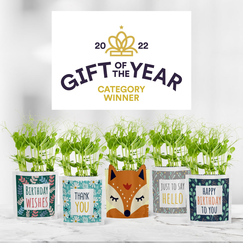 Greens & Greetings: Small Selection Pack (Any 4 and save 15%)