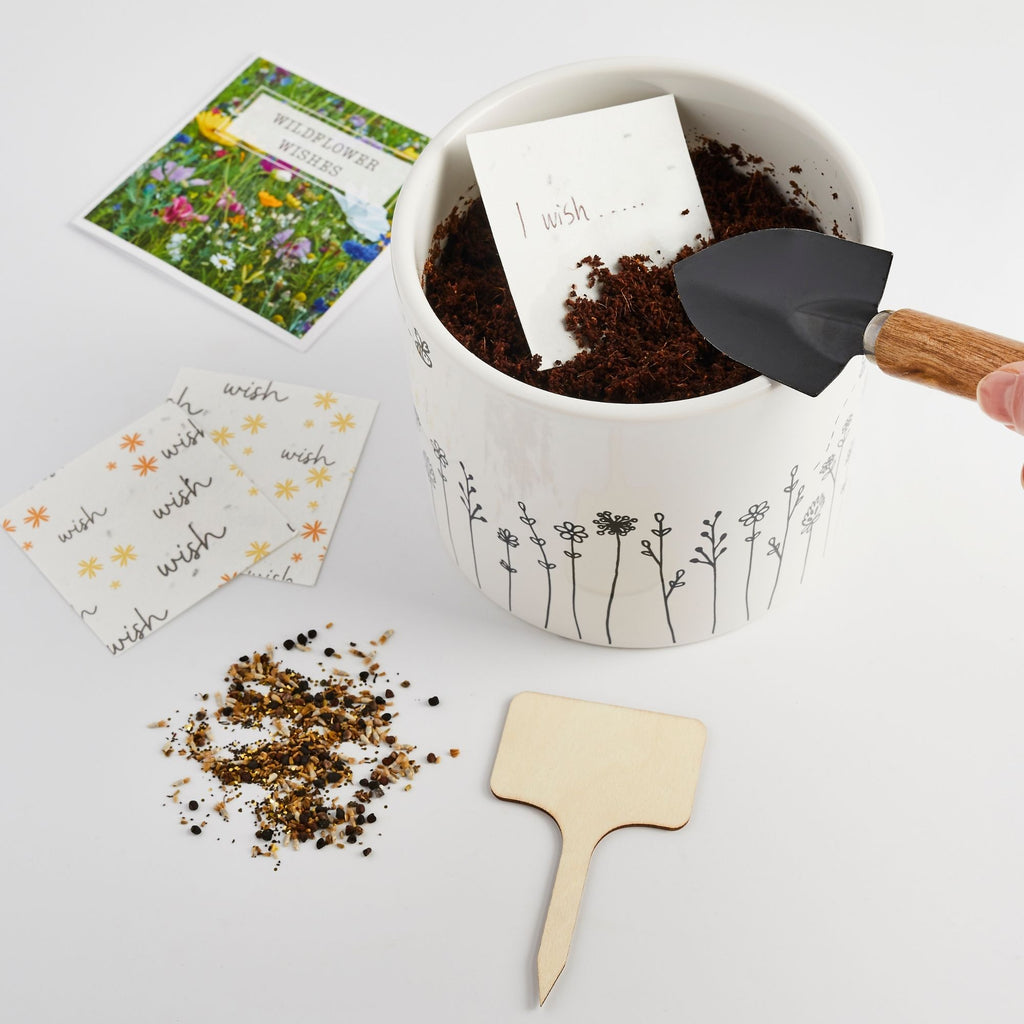 Shroot Magical Wildflower Wishes – Shroot